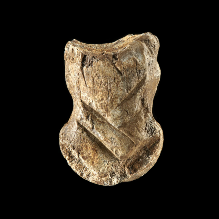 Conheça uma das obras mais antigas do mundo de 51 mil anos.